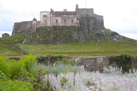 The View of Lindisfarne Castle from the garden designed by Gertrude Jekyll