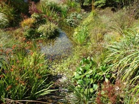 planting on mounds with ponds