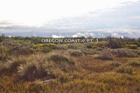 oregon coast pt. 1