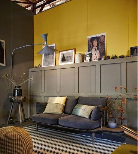 Courting Fall Colors! Courting Fall Colors!