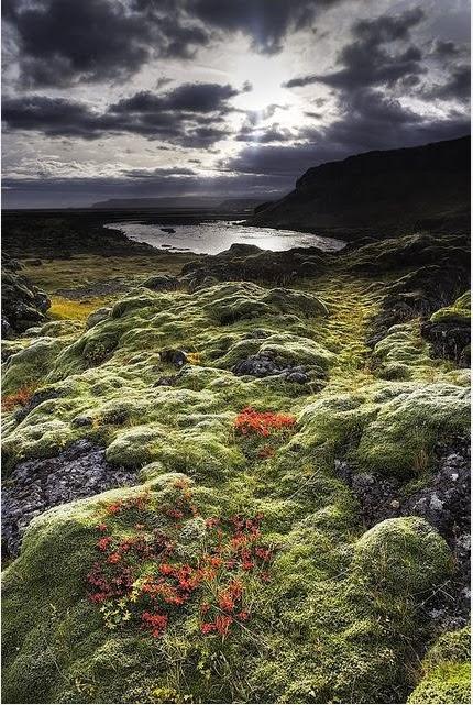 Courting Fall Colors! Courting Fall Colors!