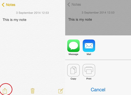 Share Your iPhone Notes