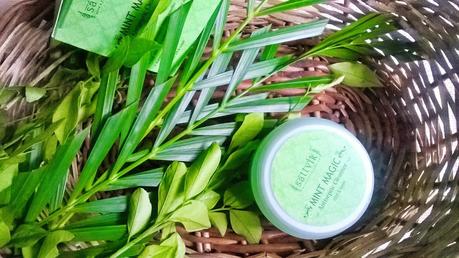 Sattvik Organics Mint Magic Antiseptic Cleanser Review Sattvik Organics Mint Magic Antiseptic Cleanser Review