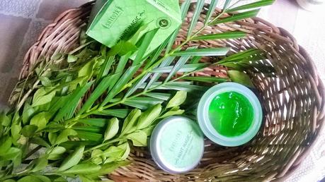 Sattvik Organics Mint Magic Antiseptic Cleanser Review Sattvik Organics Mint Magic Antiseptic Cleanser Review