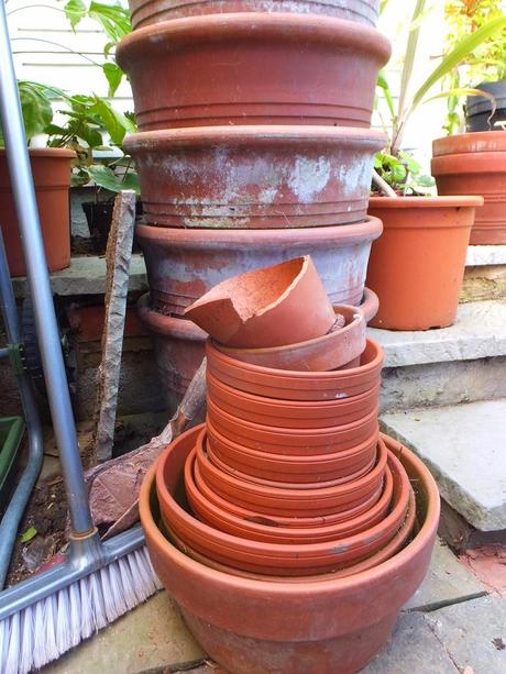 With Reluctance I go Terracotta