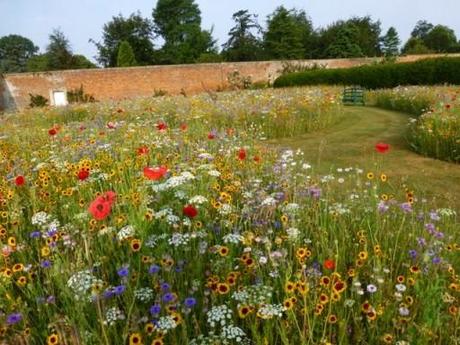The Wildflower Garden at Bowood