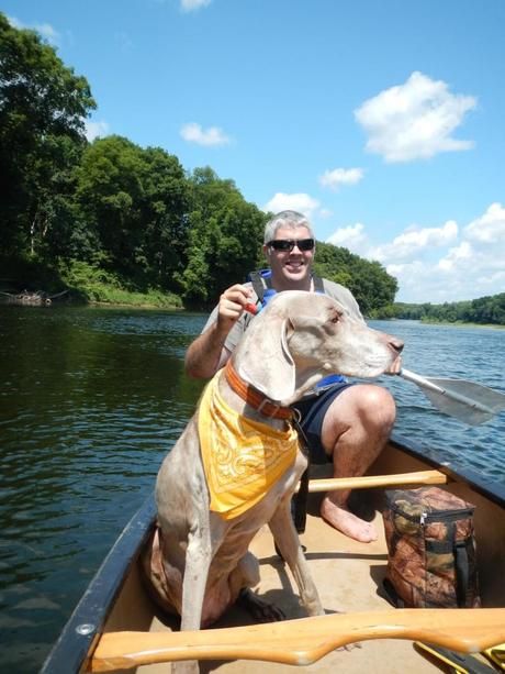 Dog in a canoe