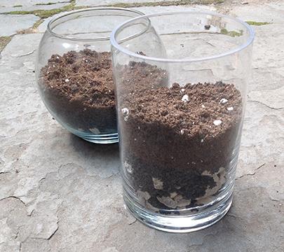 soil and rocks