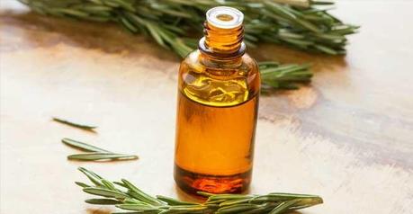 Herbal Oils To Prevent Hair Loss Rosemary Essential Oil