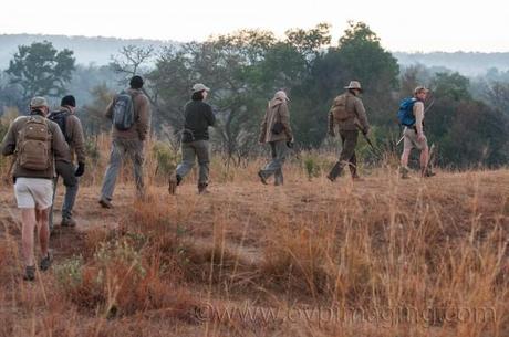 Kruger Park Guided Walk during 2014 SGOTY Competition