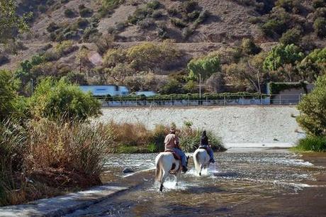 Horseback Riding in the Glendale Narrows 
