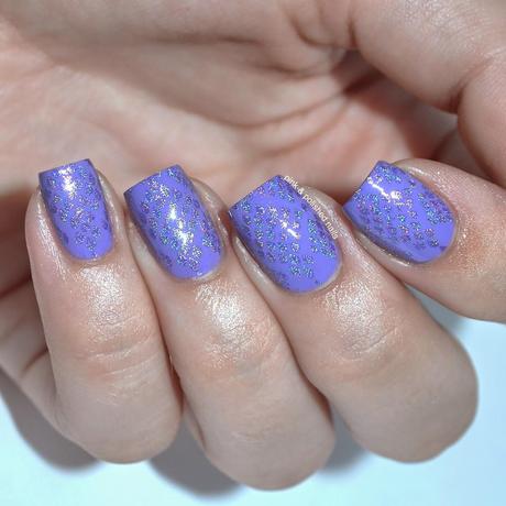 #31DC2014 Day 6: Violet #31DC2014 Day 6: Violet