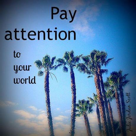 Pay attention to your world