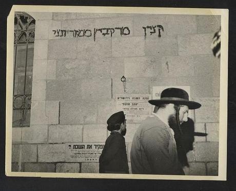 My collection of Rabbi picture