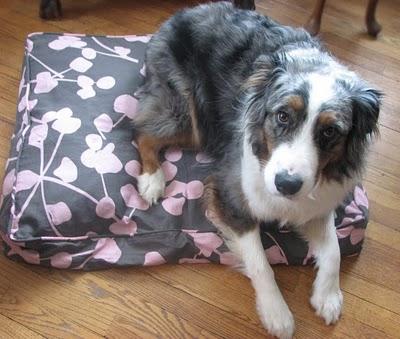 A stylish - and eco-friendly substitue for the typical eye-sore dog bed