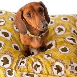 A stylish - and eco-friendly substitue for the typical eye-sore dog bed