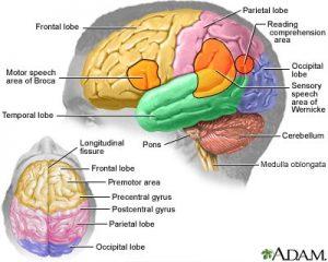 Aphasia: A Frightening Symptom