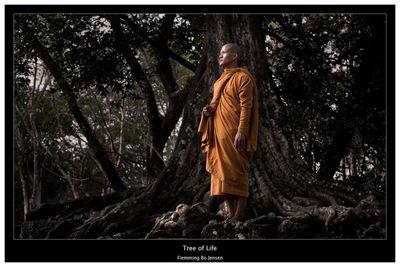 cambodia-tree-of-life