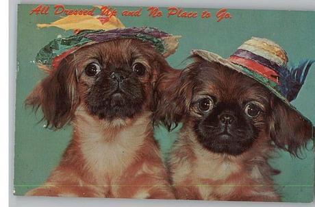 Vintage postcard Stocklist