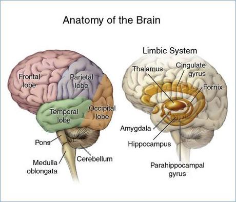 my brain recording my good memories