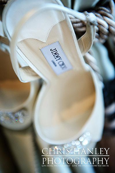 These are very special and luxurious wedding shoes