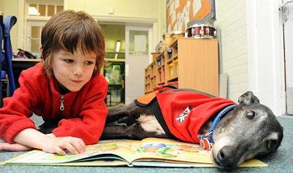 The Dogs Who Listen To Children Reading