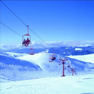 new zealand skiing