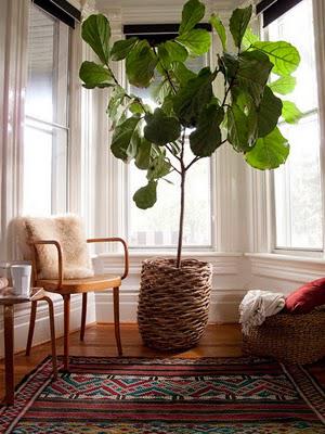 Spring is on it's way! 10 great tips to freshen up the place at little to no cost