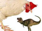 Chicken Tyrannosaurus Rex's Closes Living Relative