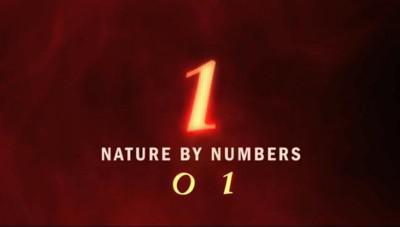 “Nature by Number” and Other Movies