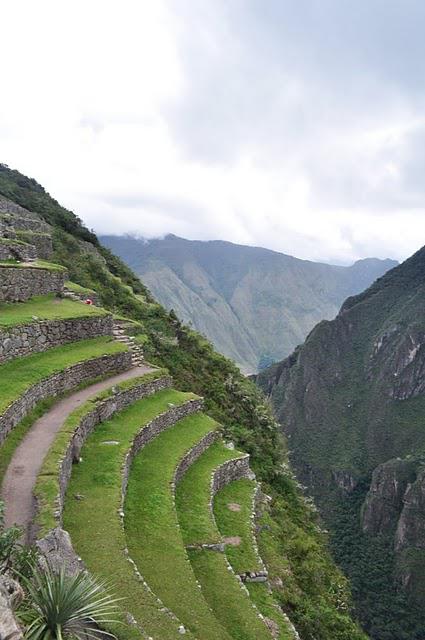 Machupiccu - A Crystal from a Dissolved Past