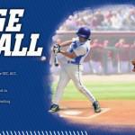 CSS_College_Baseball_750px