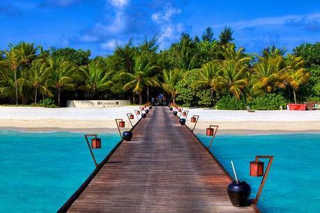 Maldives honeymoons