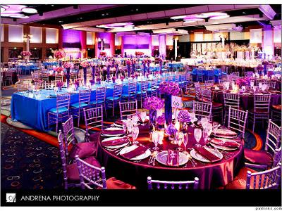 Cinal and Taju's Fabulous Reception Decor