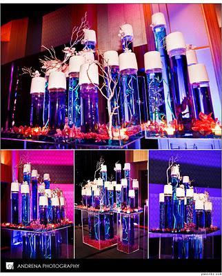 Cinal and Taju's Fabulous Reception Decor