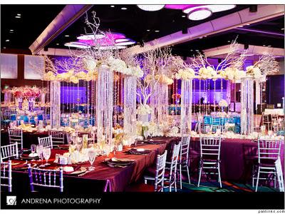 Cinal and Taju's Fabulous Reception Decor