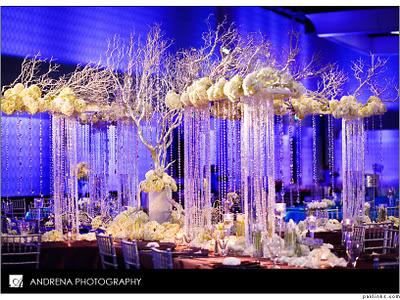 Cinal and Taju's Fabulous Reception Decor