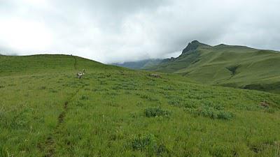 Vaalribbokkop Cave and Zulu Cave - A 3 day hike in the Monk's Cowl area - January 2011