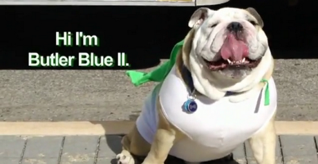 Blue for Blue II: A Doggone Travesty