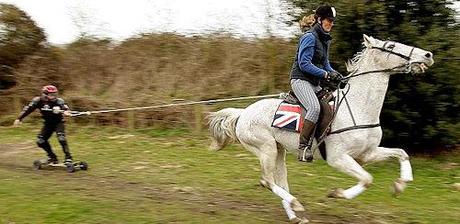 Horse Boarding