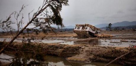 Japan Earthquake: Two Weeks Later