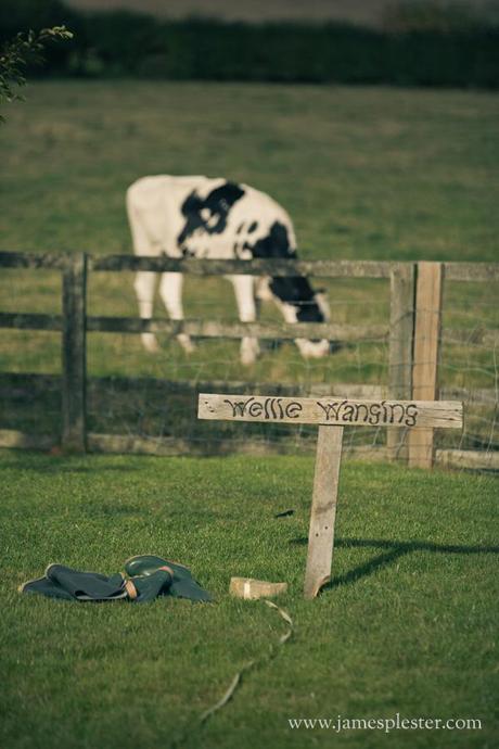 This cow is stood in the wrong place entirely