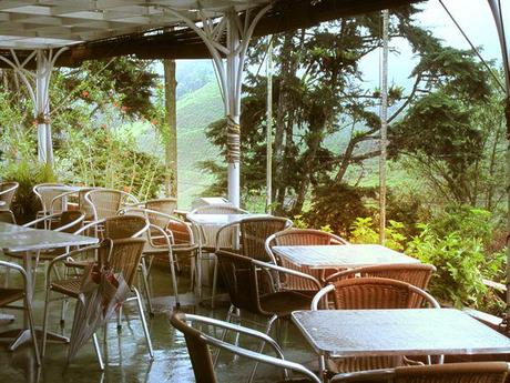 lunch cameron highlands