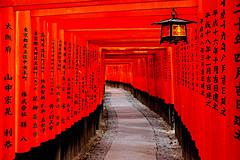 Fushimi Inari taisha, Kyoto, Japan / Japón