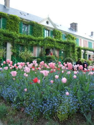 The Flowering Calendar of Claude Monet's Garden