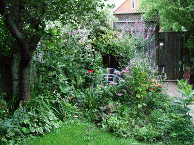 The Flowering Calendar of Claude Monet's Garden