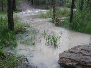 Training for an Ultramarathon, whatever the Weather!