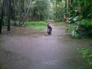 Training for an Ultramarathon, whatever the Weather!