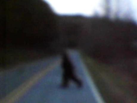 Bigfoot, Basketball, and North Carolina