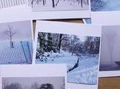 Winter Snow Photography Greeting Cards